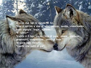  due lupi