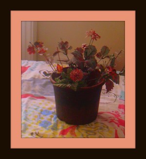  پھول arrangement and decor 8