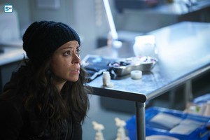  5x01 'The Few Who Dare' Promotional photo