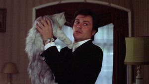 Alain and Cats