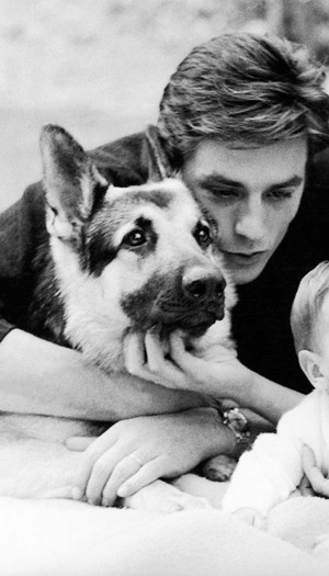  Alain and his Собаки : A beautiful Любовь story