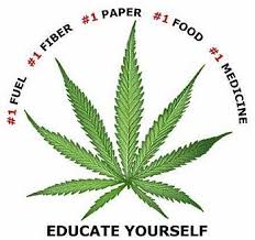  Cannabis-Educate Yourself
