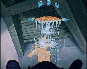 Cinderella sponge shower