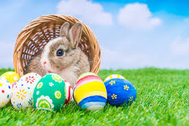  Easter Bunny O
