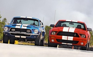  Mustangs