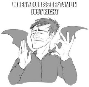  When 당신 Piss off Tamlin Just Right