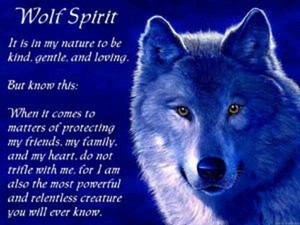  волк spirit