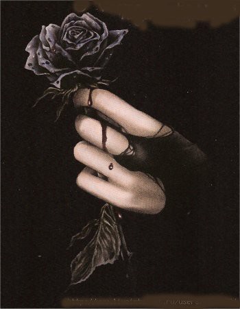 Blood Rose - Victoria Francés Photo (40563789) - Fanpop