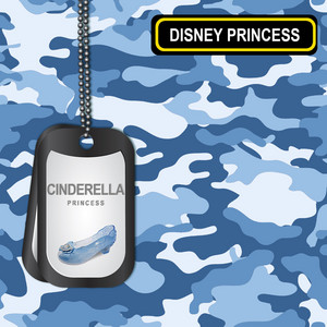  Camouflage for Cinderella