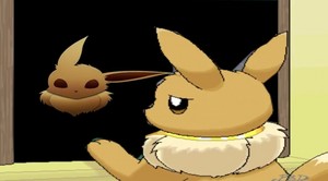  Eevees Reflection