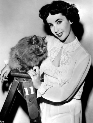  Elizabeth Taylor And Her Cat