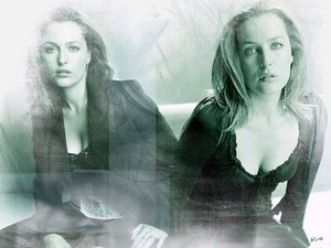 Gillian Beauty Collage