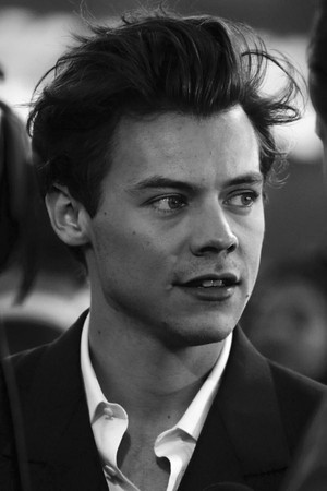Harry at the Dunkirk Premiere