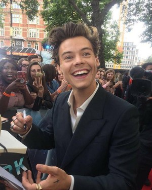  Harry at the Dunkirk Premiere