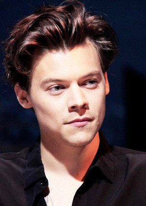  Harry at the Dunkirk press conference