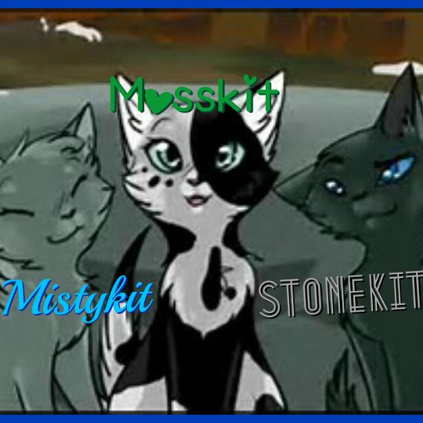Mistykit, Mosskit, and Stonekit