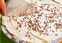 Peanut Butter Oreo Pie
