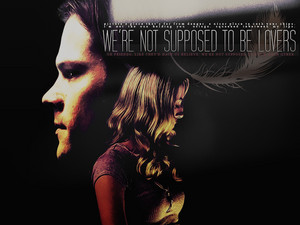 Sam/Jo Wallpaper - Not Supposed To Be Lovers