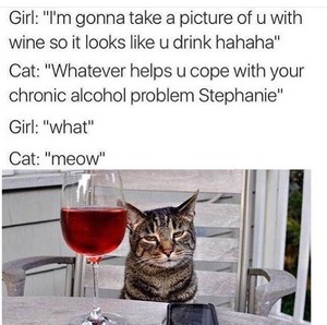  Stephanie's Chronic Alcohol Problem