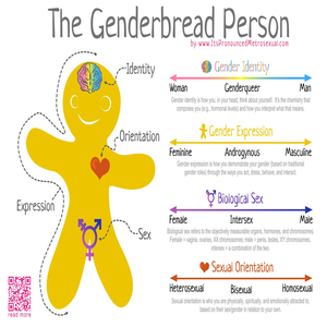  The Genderbread Person