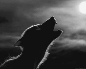 Werewolf Gif