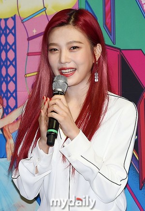  170820 Red Velvet 1st संगीत कार्यक्रम 'Red Room' Press Conference