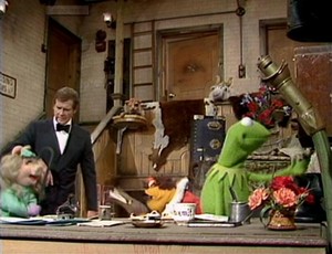  1981 Guest Appearance The Muppet প্রদর্শনী