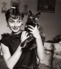  Audrey and her black cat