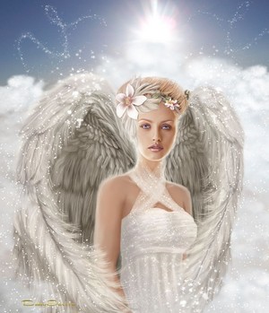  Beautiful 天使