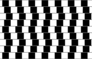  Best illusion 30