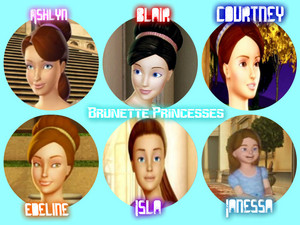 Brunette Princesses barbie in the 12 dancing princesses
