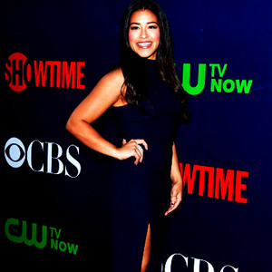  CBS, CW And Showtime 2015 Summer TCA Party - Aug 10, 2015
