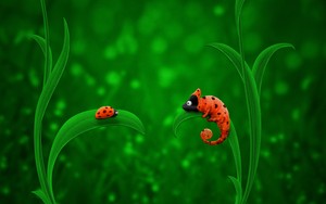  Chameleon and Ladybird