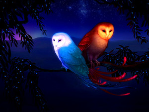  fantasía Owls