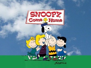  Snoopy, Come home