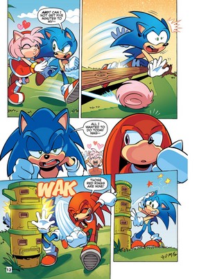  Sonic 18
