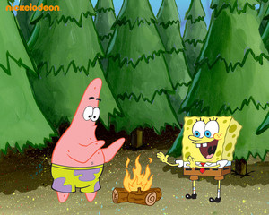 Spongebob and Patrick in the forest wallpaper
