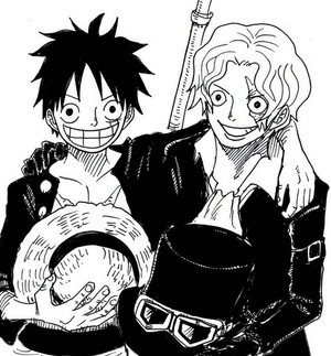  luffy and sabo