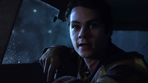 6x20 ~ The Wolves of War ~ Stiles