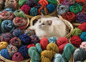  Cat Playing With Yarn