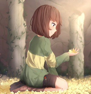  Chara admires the Golden お花