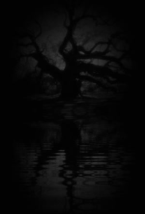  Dark Water Reflection