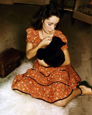  Elizabeth Taylor And Her Kitten