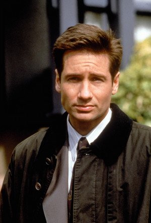  fuchs Mulder