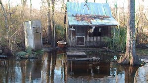  Manchac Swamp, Louisiana