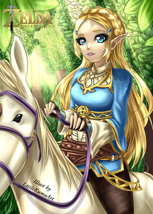  Princess Zelda