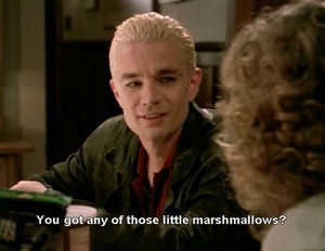  Spike and the mini marshmallows