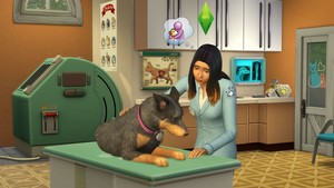  The Sims 4: gatos and cachorros