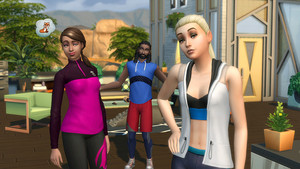  The Sims 4: Fitness Stuff