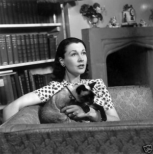  Vivien Leigh And Her Cat